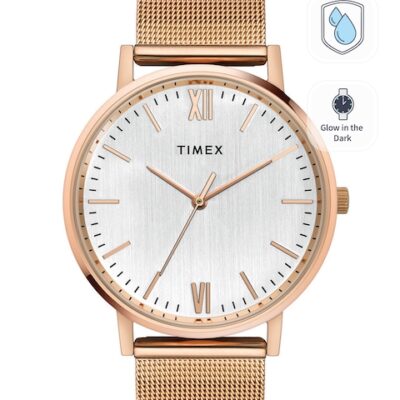 Timex Men Gold-Toned Dial & Gold To...