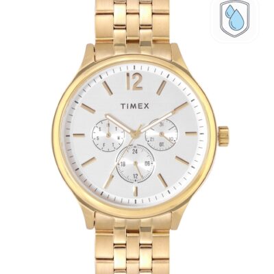 Timex Men Silver-Toned Dial & Gold ...