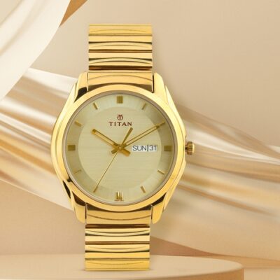 Titan Men Gold-Toned Dial Watch NF1578YM...