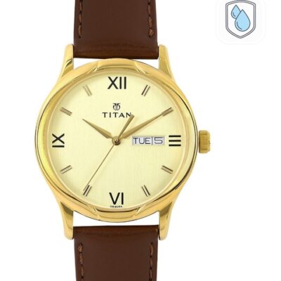 Titan Men Gold-Toned Dial Watch NH1580YL...