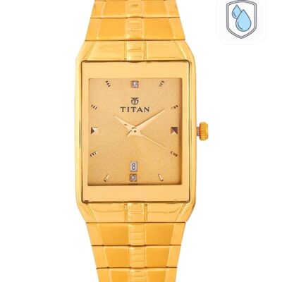 Titan Men Gold-Toned Dial Watch NH9151YM03A